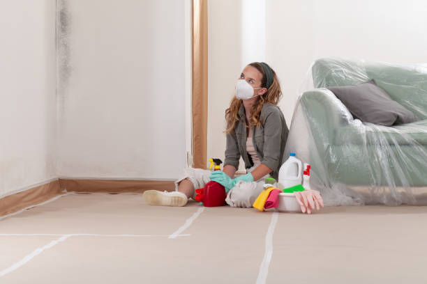 Reliable Mold Remediation contractor in Douglas, MI by WQB Mold Removal